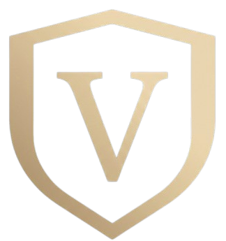 VILLANUEVA INTERNACIONAL FAVICON 